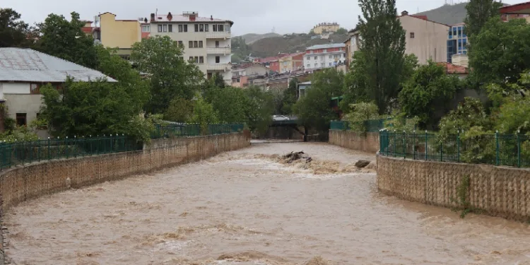 Oltu Çayı coştu