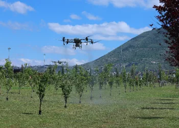Kayseri’de drone ile ilaçlama