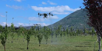 Kayseri’de drone ile ilaçlama