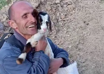 Fenomen çoban, görenleri gülümsetiyor