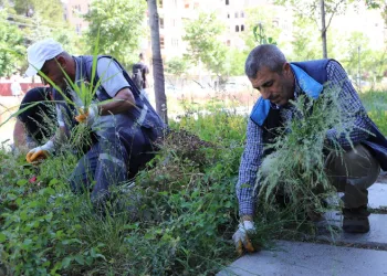 Yenişehir Millet Bahçesi bakımdan geçirildi