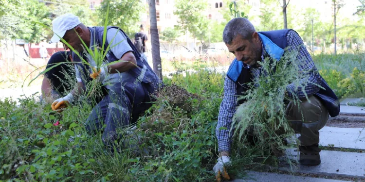 Yenişehir Millet Bahçesi bakımdan geçirildi