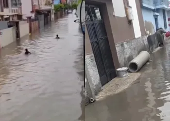 Sulama kanalı değil yol
