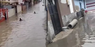 Sulama kanalı değil yol
