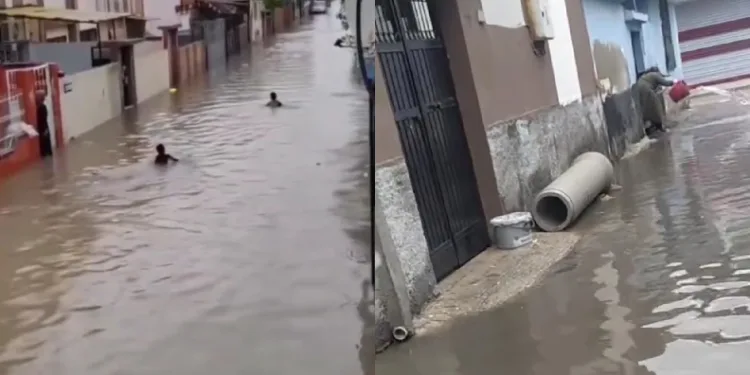 Sulama kanalı değil yol