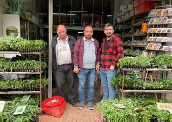 Eskişehir'de fide dikim zamanı