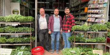 Eskişehir'de fide dikim zamanı