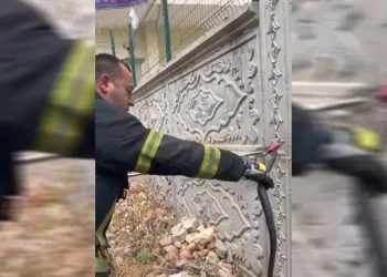 Bahçeye giren yılanı itfaiye yakaladı