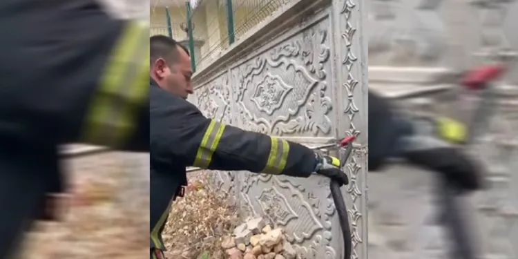 Bahçeye giren yılanı itfaiye yakaladı