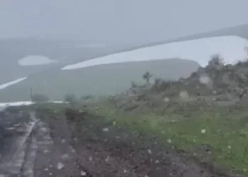 Ardahan'da kar ve sis etkiliydi