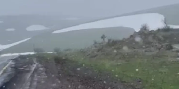 Ardahan'da kar ve sis etkiliydi