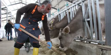 Bingöl’de Tarımsal Uygulama Merkezi
