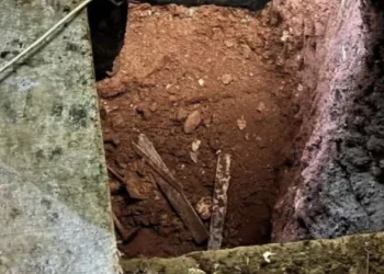 Define avcıları çukurda böyle yakalandı
