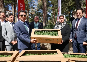 61 bin 780 adet ‘Ata’ tohumu dağıtıldı