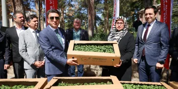 61 bin 780 adet ‘Ata’ tohumu dağıtıldı