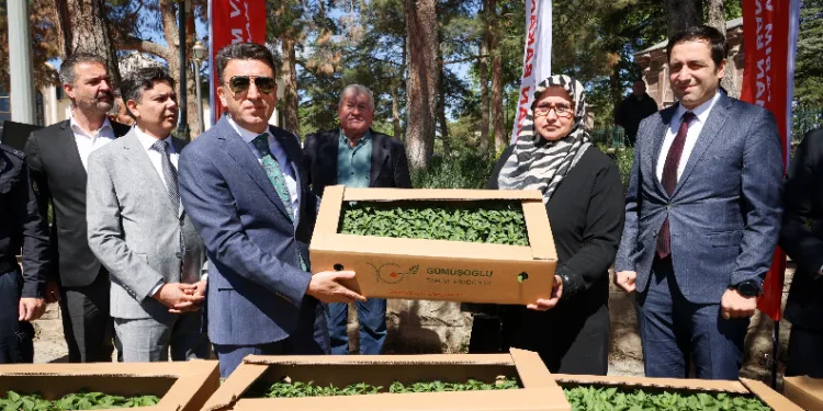 61 bin 780 adet ‘Ata’ tohumu dağıtıldı