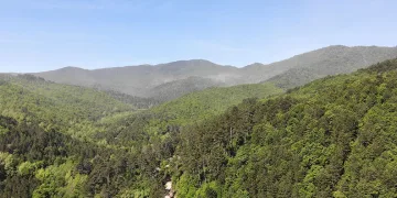 Çanakkale’de ormanlık alanlara giriş yasaklandı