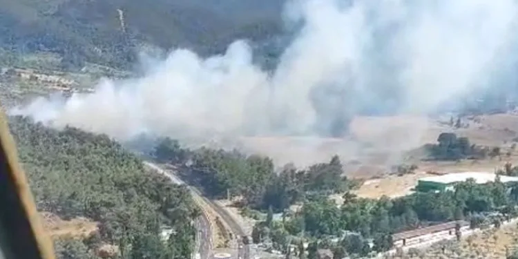 Kemalpaşa’da orman yangını
