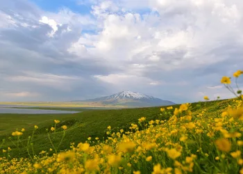 Süphan Dağı’nda görsel şölen