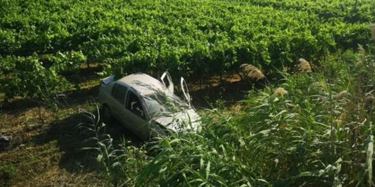 Otomobil üzüm bağına uçtu, sürücü ölümden döndü
