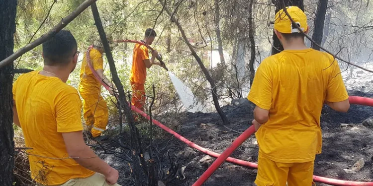 Alanya’daki orman yangını büyümeden kontrol altına alındı
