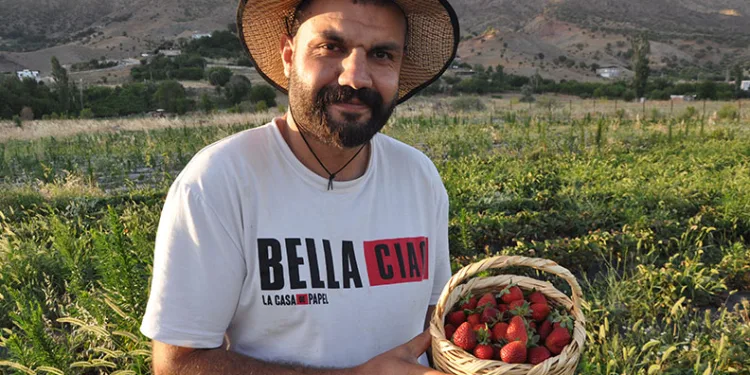 Çileklerini cumhurbaşkanına ulaştırdılar