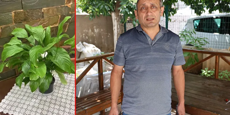 Ölen oğlunun son hatırası