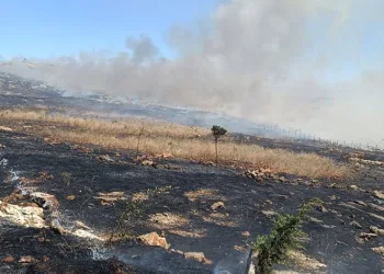 Silvan’da örtü yangını