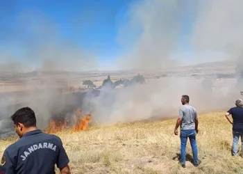 20 dekar ekili alan yangında kül oldu
