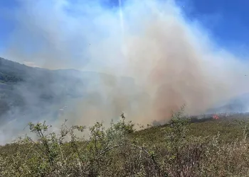 Kastamonu’da orman yangını