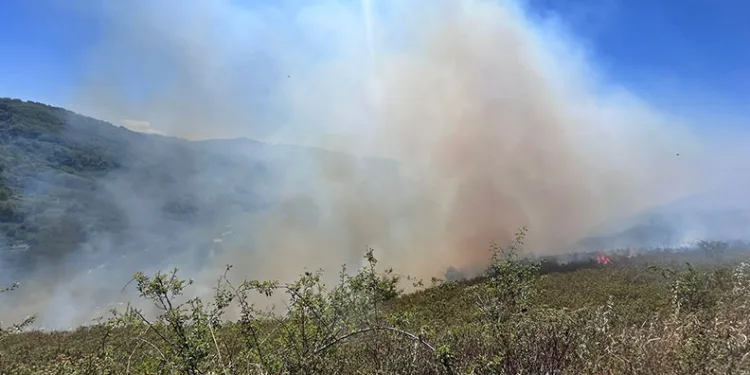 Kastamonu’da orman yangını