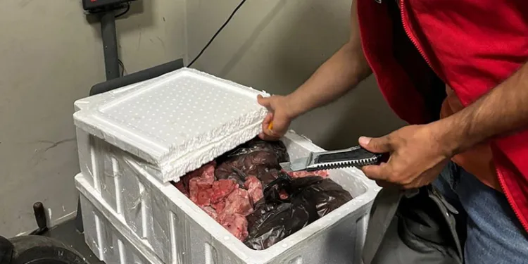 Menteşe Otogarı’nda 45 kilo menşei belirsiz et ürünü ele geçirdi