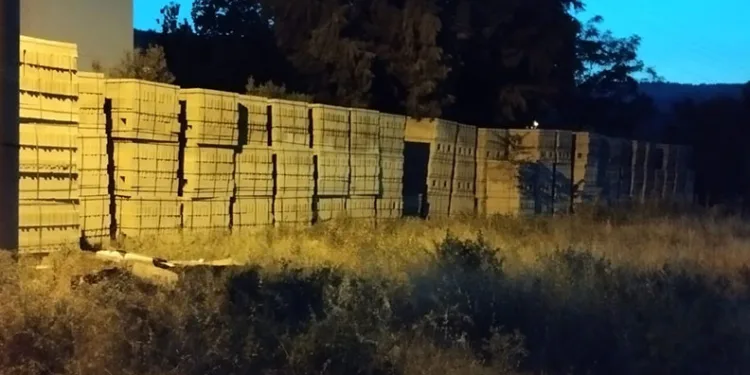 Briketlerin üzerinden düşen çocuk ağır yaralandı
