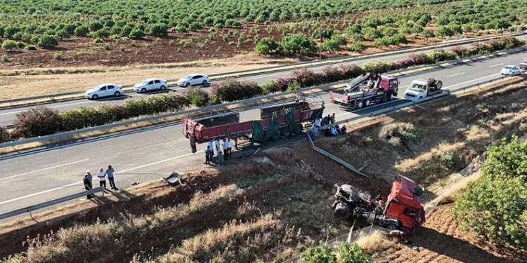 Şanlıurfa’da kurbanlık boğaları taşıyan tır ile traktör çarpıştı