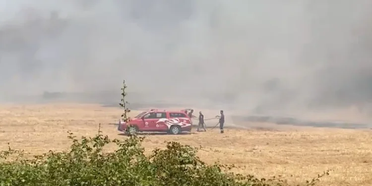 Antalya’da sazlık alan yangını