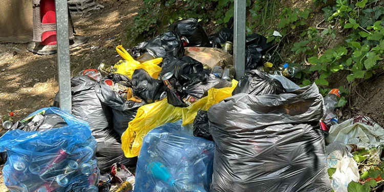 Piknikçiler Belgrad Ormanı’nı çöp yığınına çevirdi