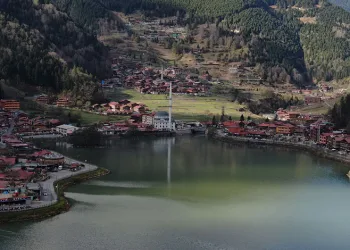 Doğu Karadeniz’de hareketlilik başlamadı