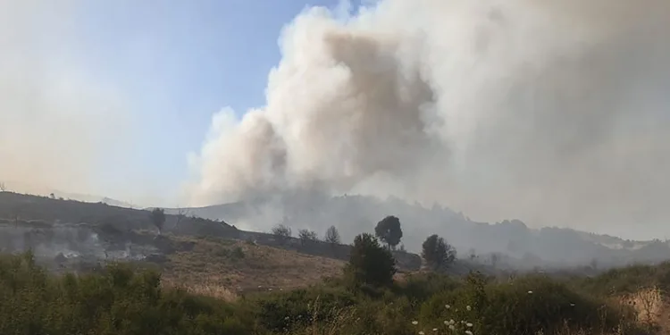 Foça’daki yangının arkasından iki sorumsuz çıktı: Yakalandılar