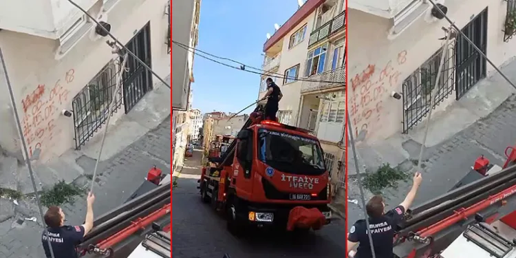 Bursa’da elektrik kablosunda asılı olan kuş kurtarıldı