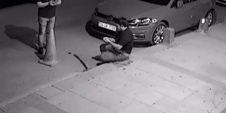 Kardeşlerin kavgası kanlı bitti