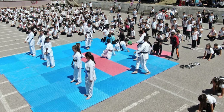 Sivas’ta 450 kişilik karate gösterisi