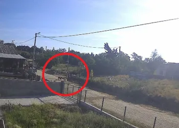Bandırma’da başıboş köpek dehşeti