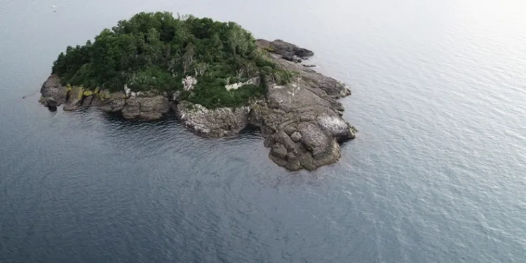 Giresun Adası’nın turizme kazandırılması için çağrı