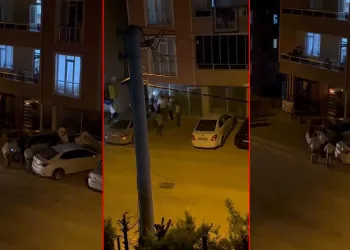 İnegöl’de 2 yabancı uyruklu grup birbirine saldırdı