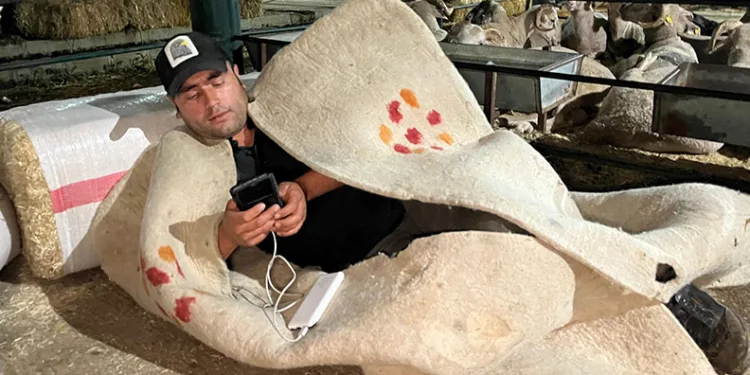 Hayvan satıcıları yatağa hasret kaldı