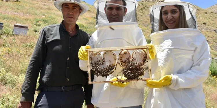 Dünyanın en kaliteli balı için uğraşıyorlar