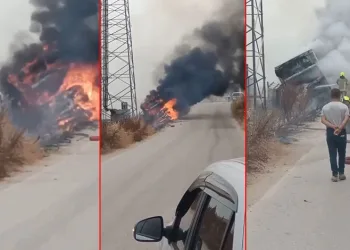 Bursa’da arı yüzünden kamyonet devrildi