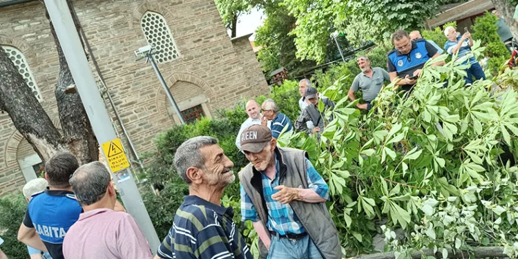 Bursa’da bayram alışverişi yapanların üzerine ağaç devrildi