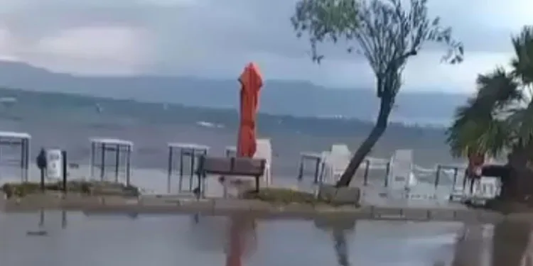 Bursa’da lodos denizi taşırdı, sahil kenarı göle döndü