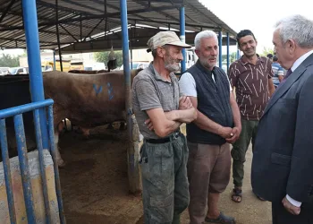 Şadi Özdemir, kurban pazarını gezdi